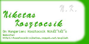 niketas kosztocsik business card